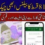 BISP Check Balance Online by CNIC